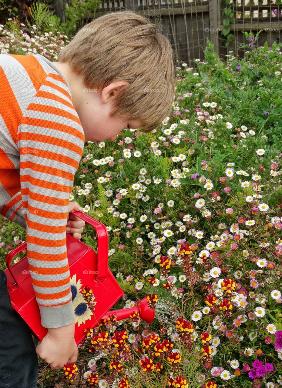 Little Boy In The Garden