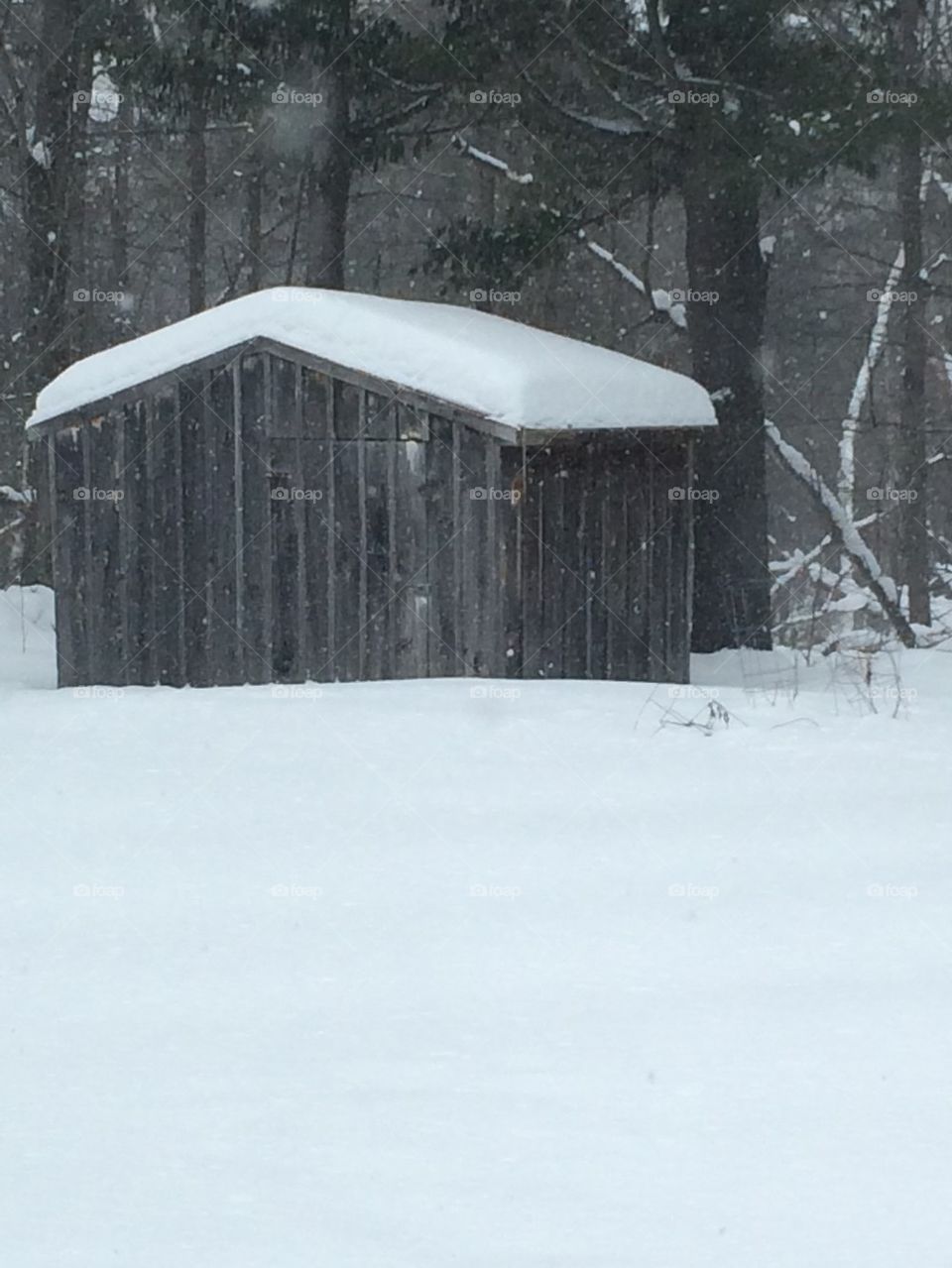 Winter shed
