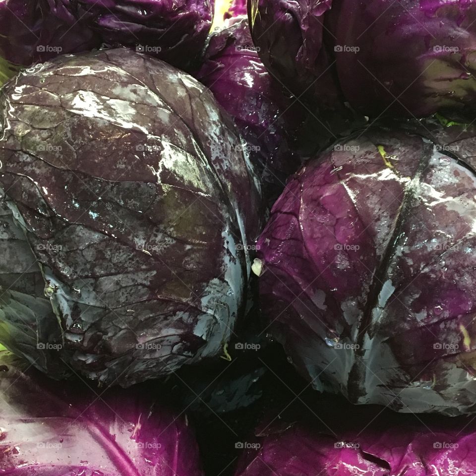 Fresh Cabbage 