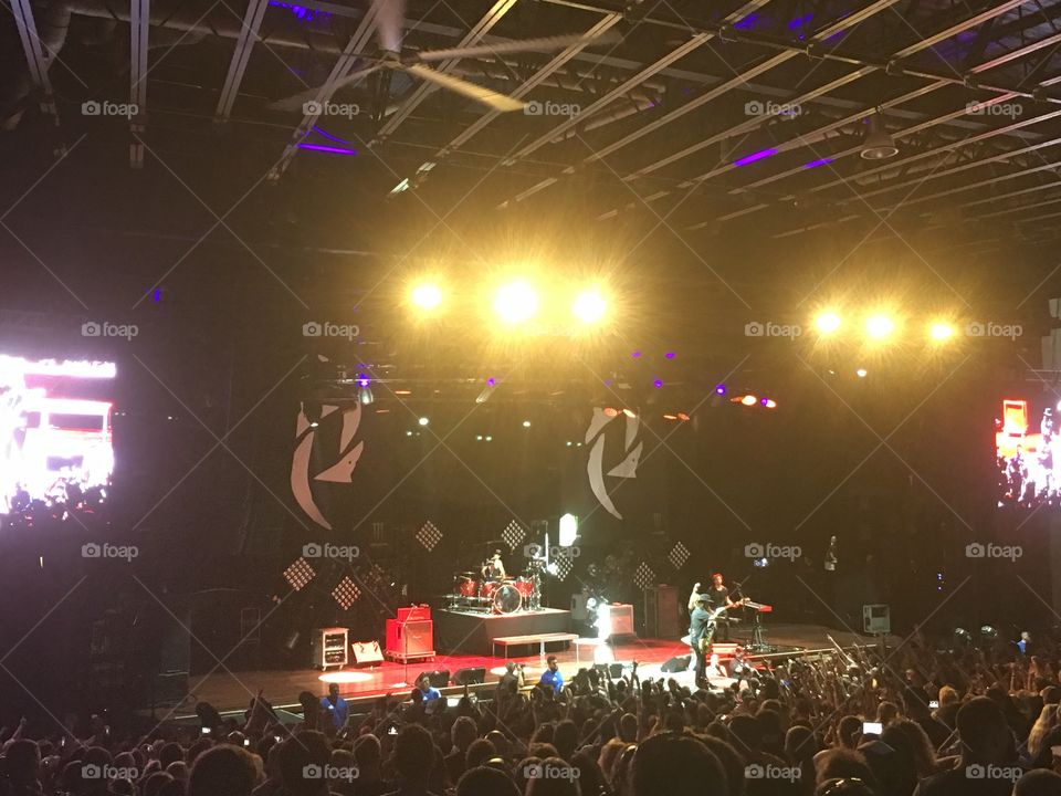 Performance, Music, Concert, Festival, Musician