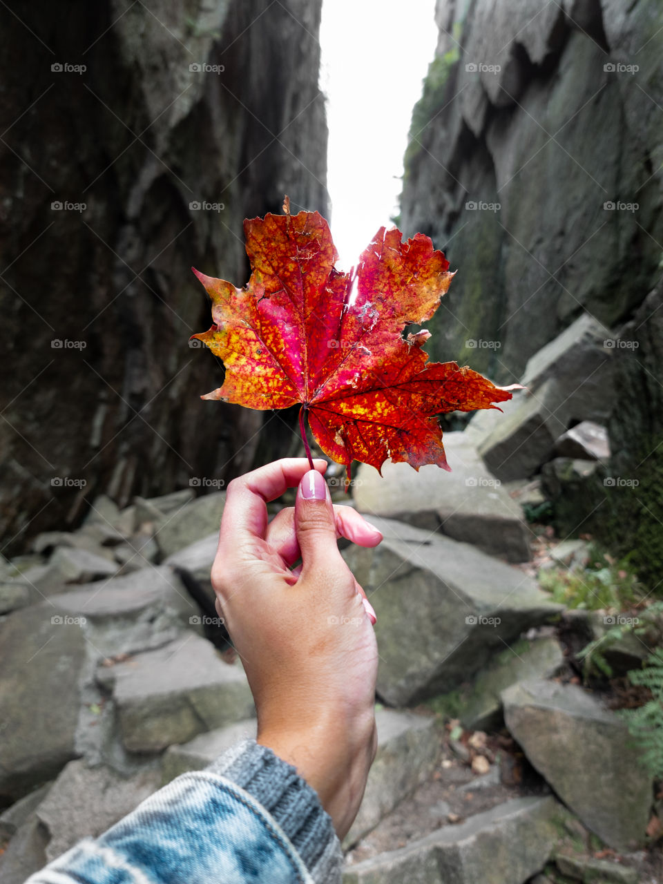 Autumn brings the red