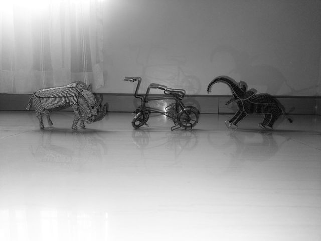Instead of throwing away the used wire meshes.Switching to art encourages cycling our shorter journeys which helps to protect biodiversity. It creates less noise, less air pollution, and results in fewer emissions that are warming the atmosphere.
