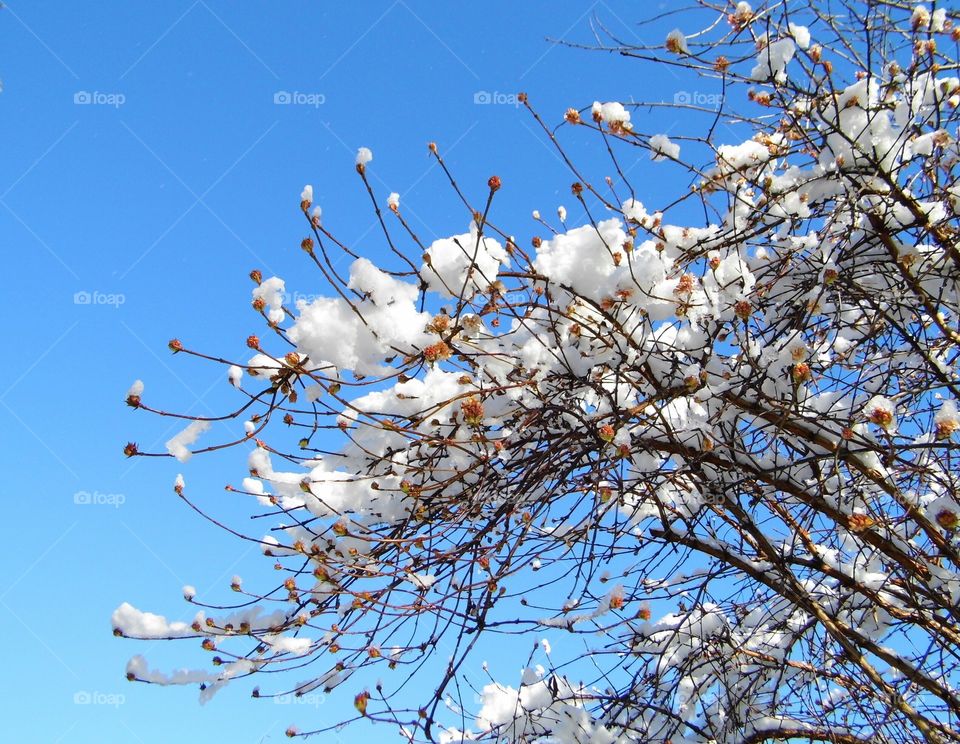 blue sky in the morning and beautiful nature