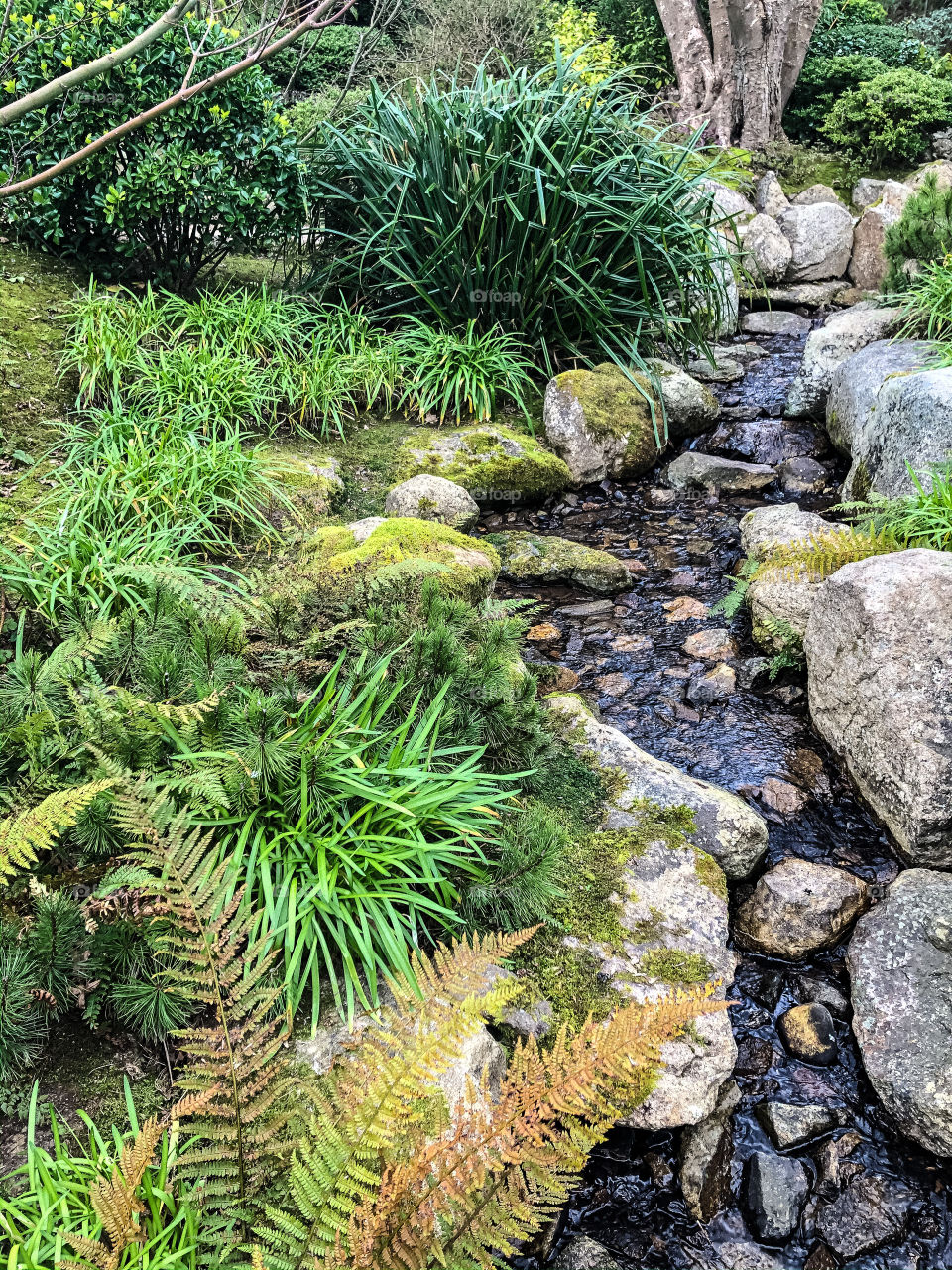 Japanese garden Tramore Ireland