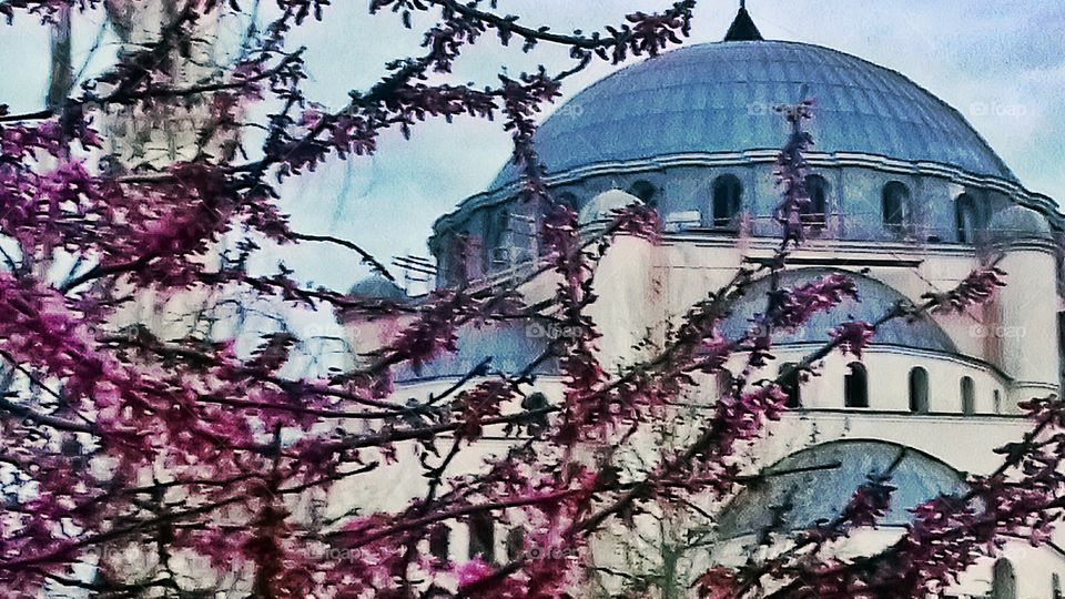 Mosque behind Blooming Trees