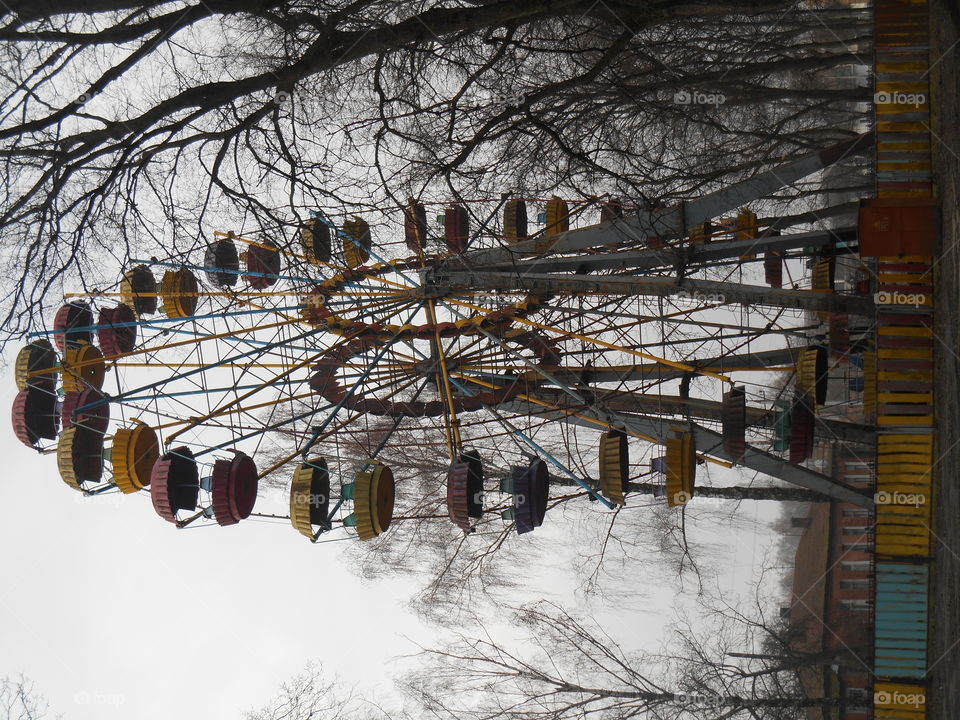 Winter, Snow, Cold, No Person, Wood