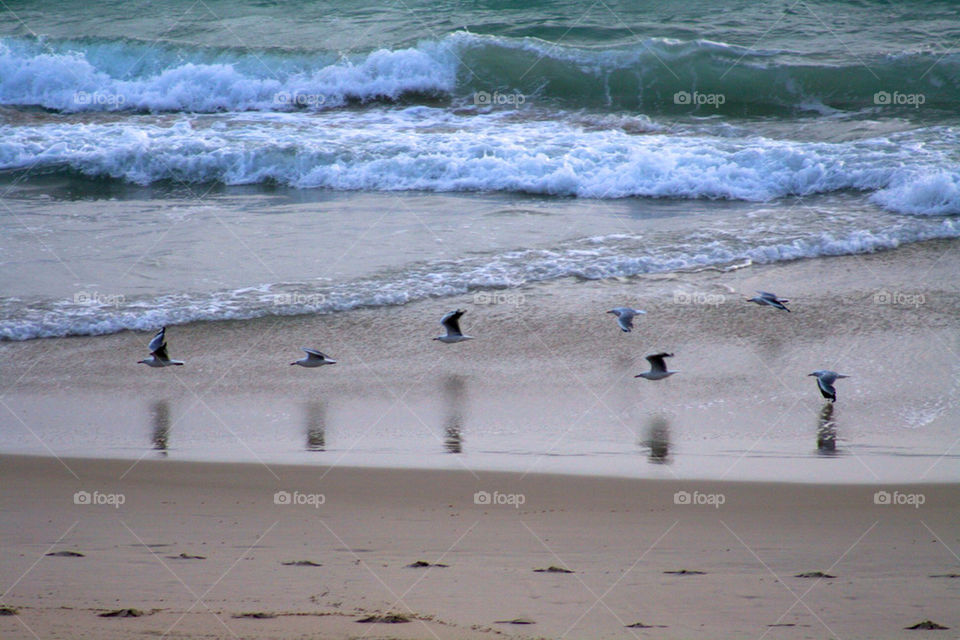 beach ocean nature travel by mmcook
