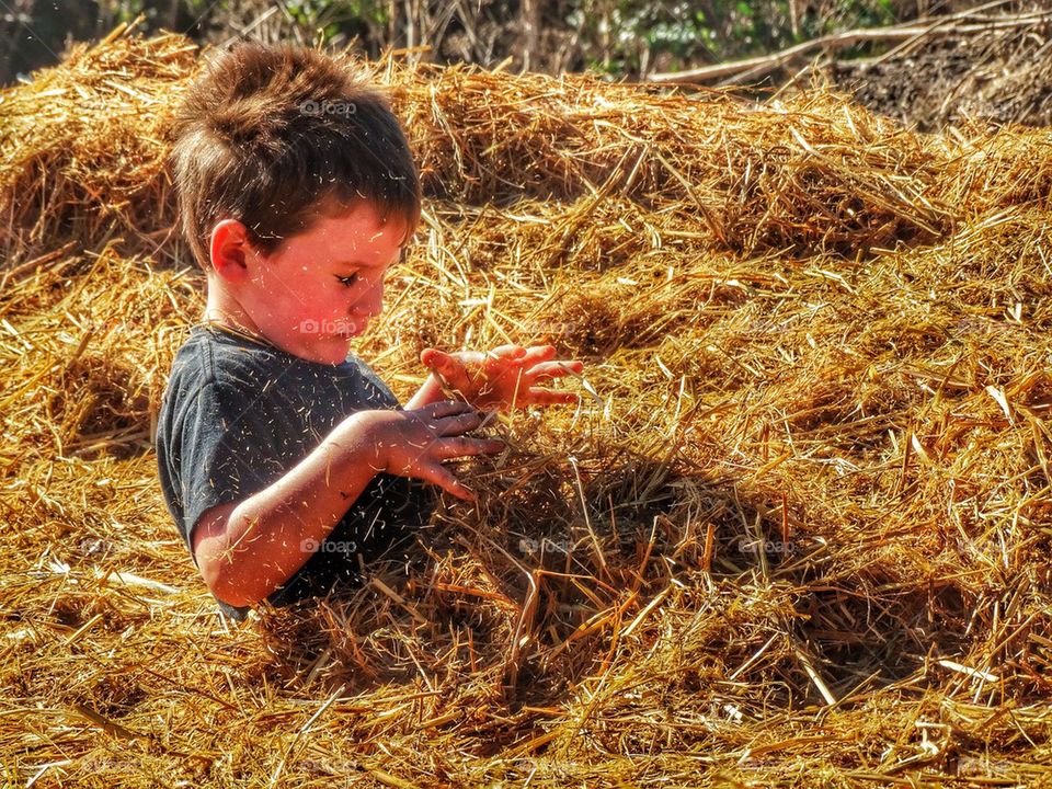 Boy Playing In Hay