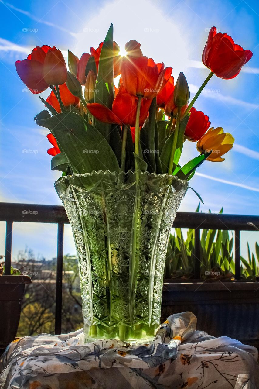 Tulips in the vase