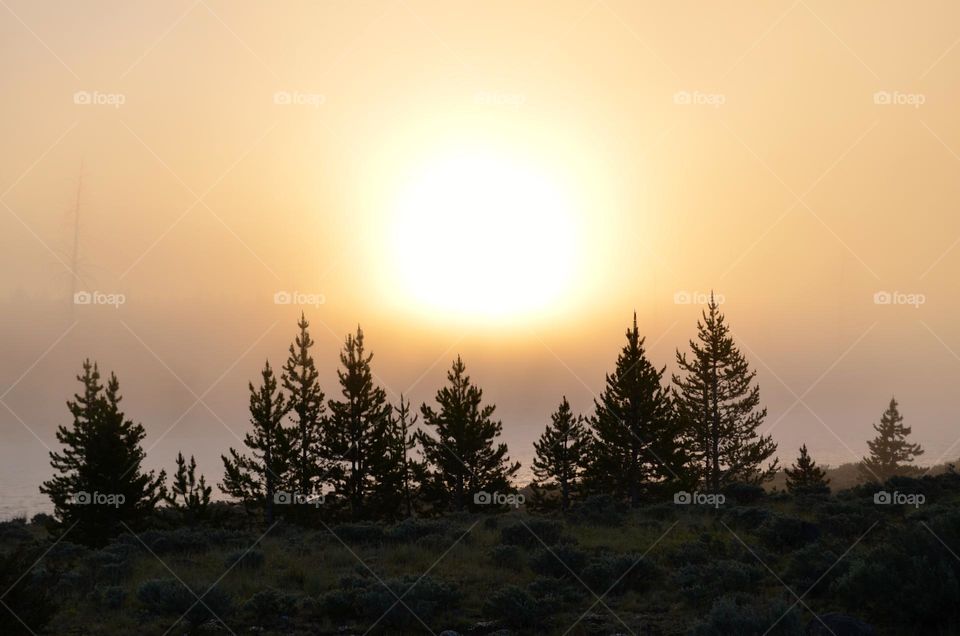 Early sunrise hours somewhere in the wilderness of Yellowstone national park in Wyoming, USA. 