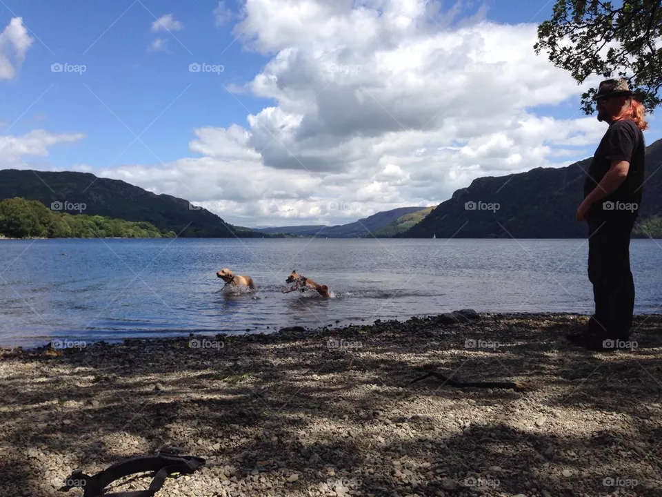 Dog swim