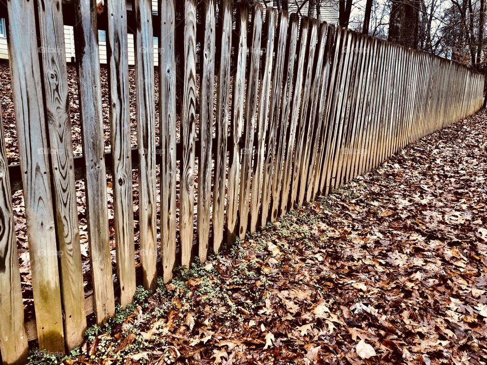 Fence
