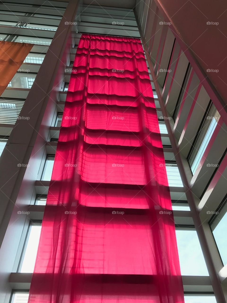 Magenta sheer curtain.