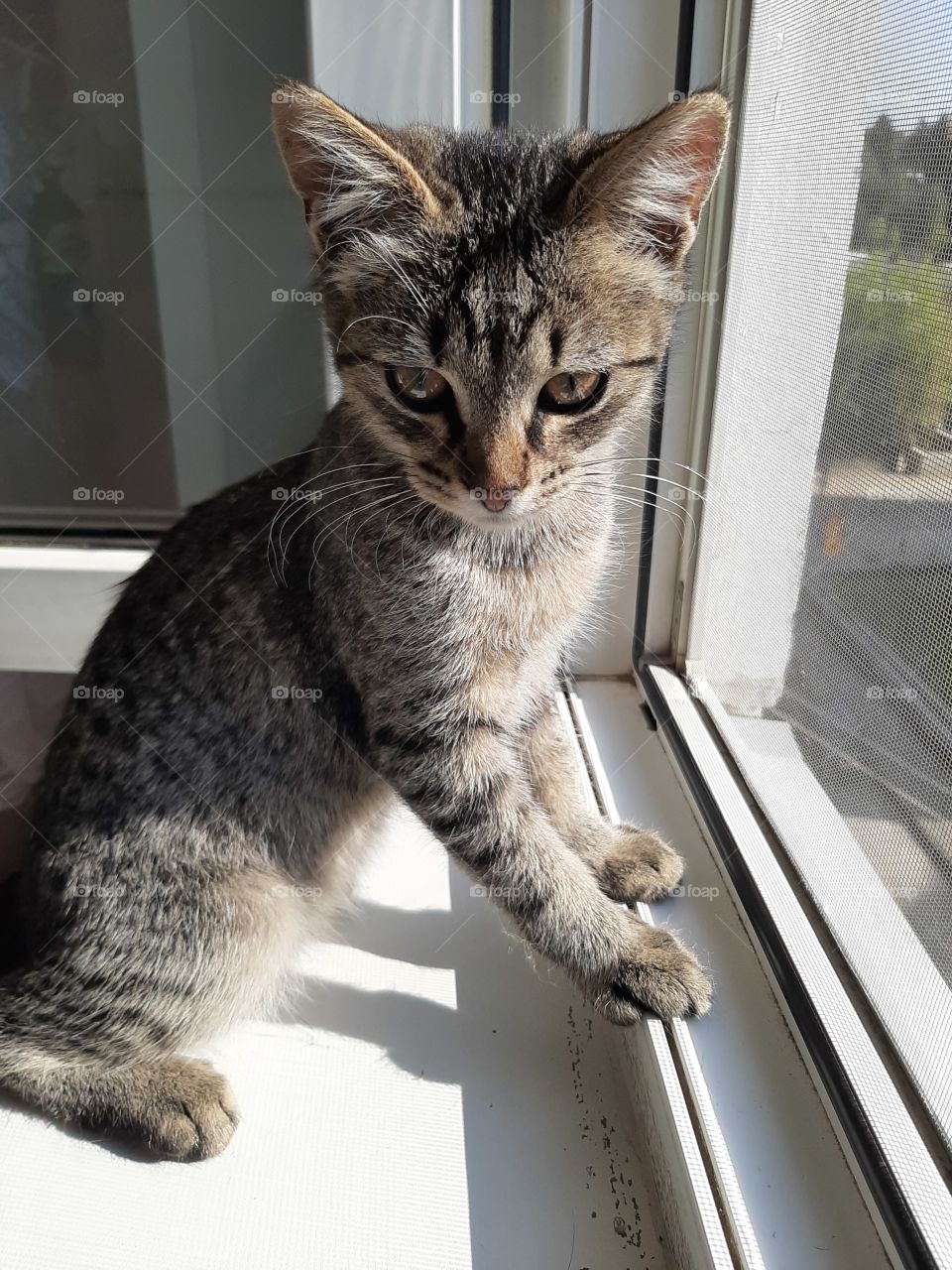 Да,  поняла!