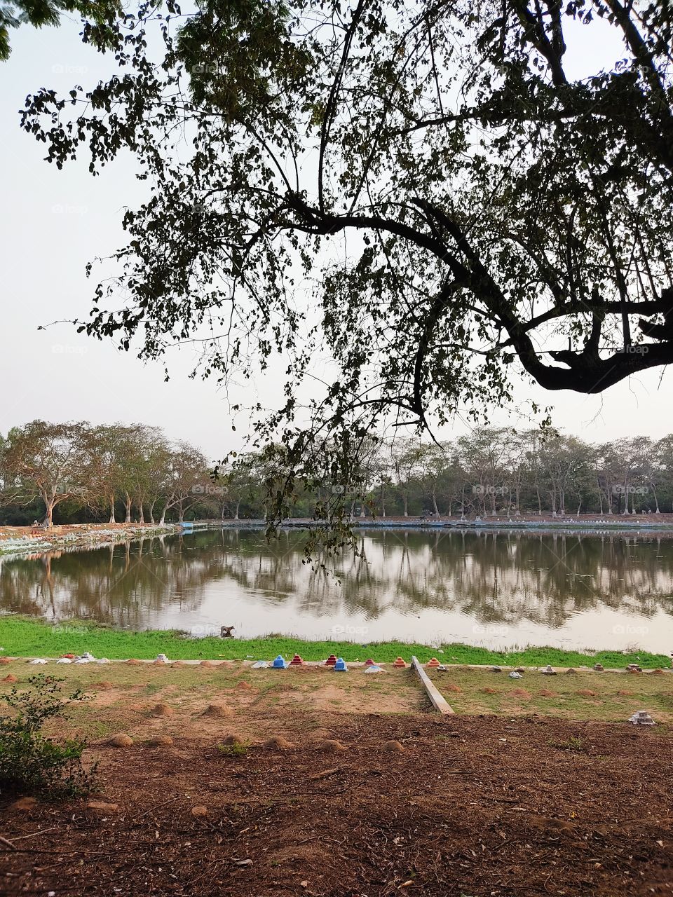 Beautiful😍 pond and trees 🌳🌳🌳🌳