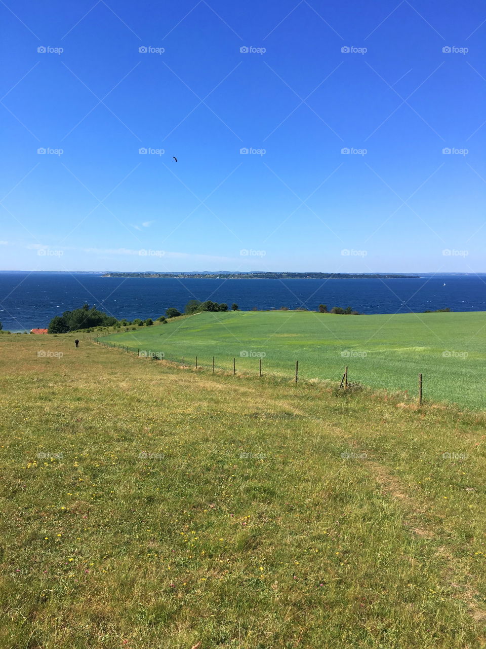 Landscape, Sweden, Ven, Skåne