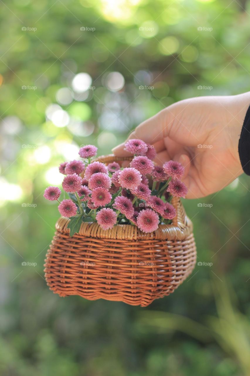 Pink flowers in a rattan vase on hand