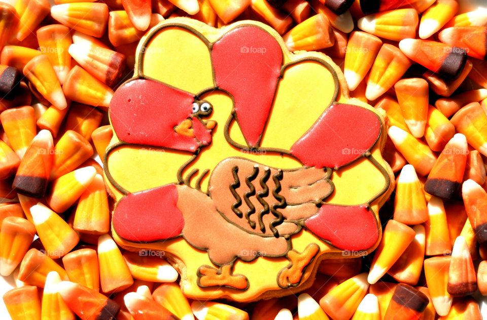 Close-up of a Thanksgiving cookie shaped like a turkey useful as a background pattern.