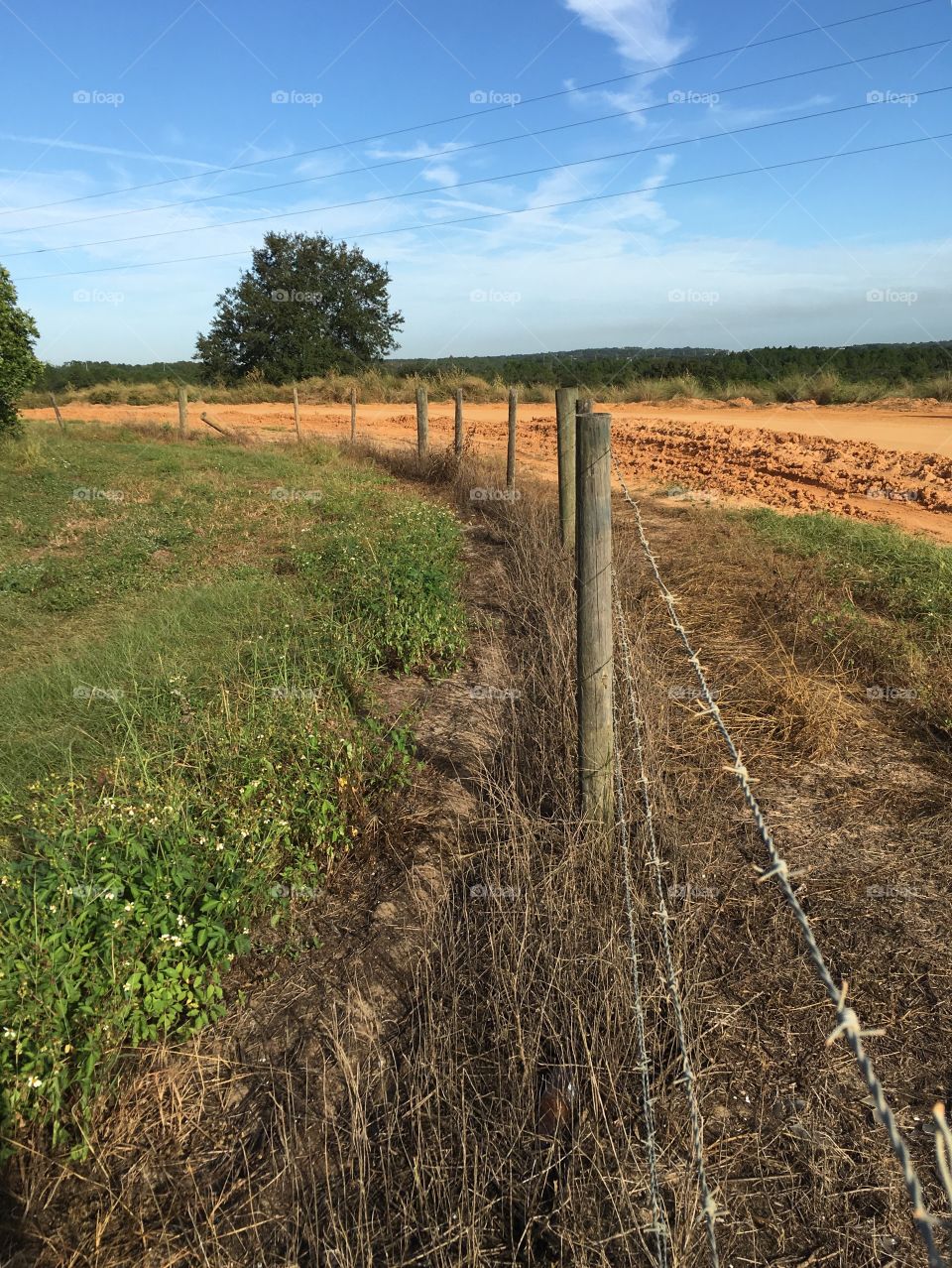 Fence near grass in rural landscape