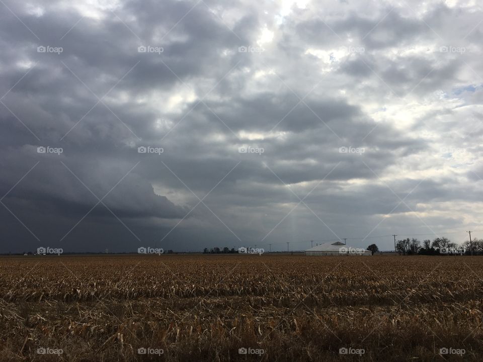 Storm rolling in, kansas , corn field 