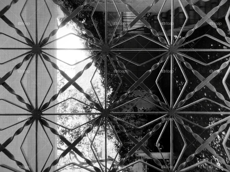 Window Security  - Black and white is my true nature