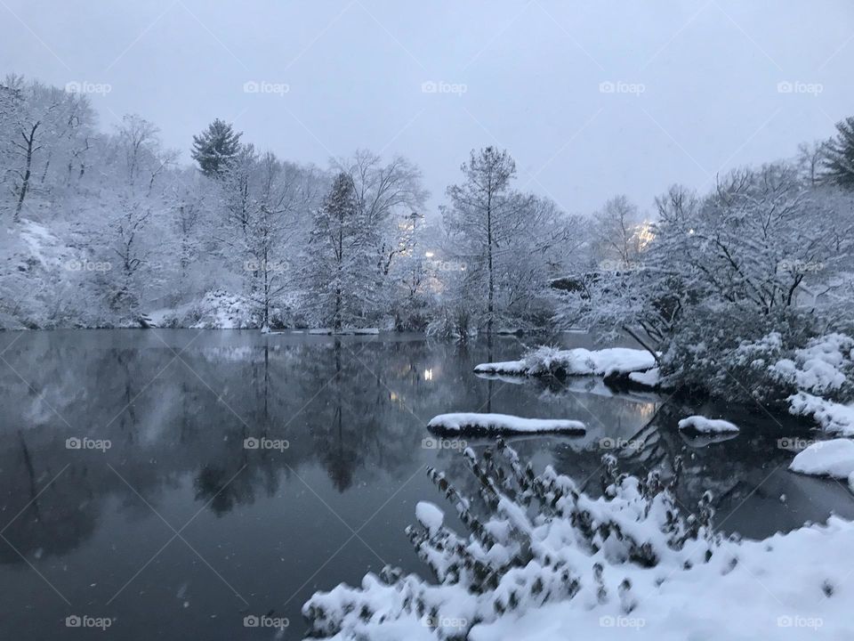 Snowy pond