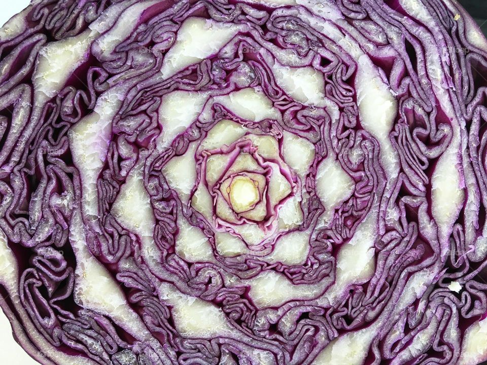 A slice of cabbage 💜