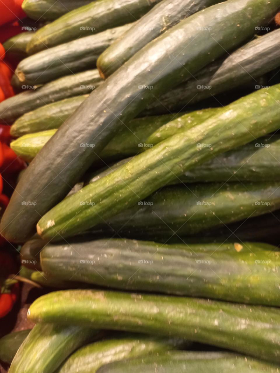 Pepinos. O Pepino é  o fruto do pepineiro, que pode ser consumido cru em saladas ou em conservas, e, é um diurético natural que ajuda na dissolução de cálculos renais