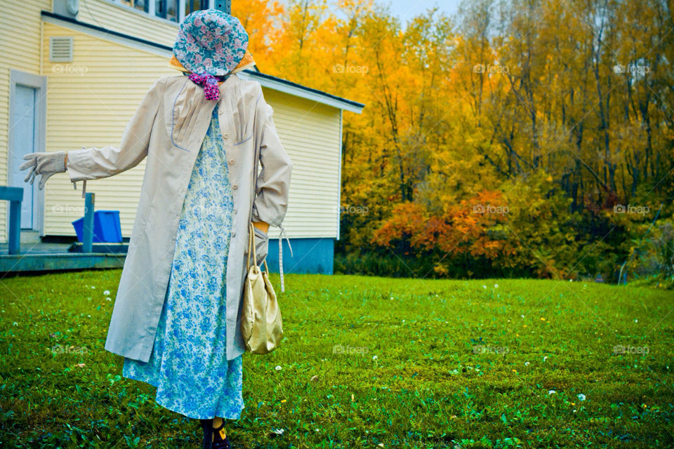 Nature, Fall, Outdoors, Girl, Summer