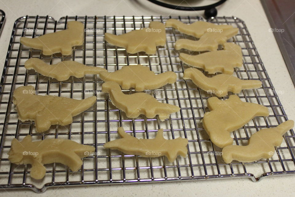 delicious Dinosaur sugar cookies for Santa