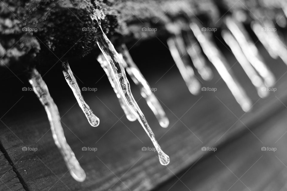 Melting icicles, hanging from the edge of a shed roof.