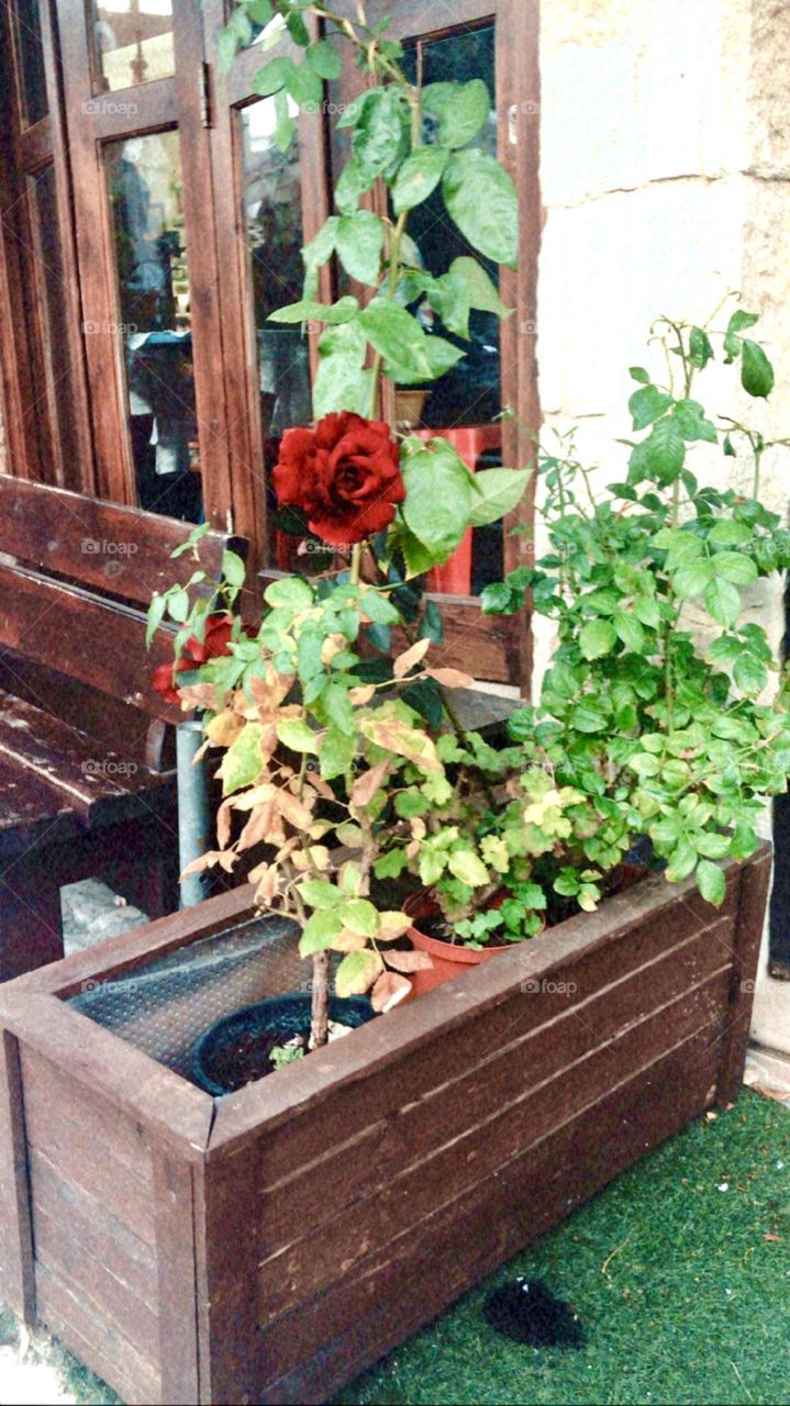 Omodos Trip Mountain Cyprus Summerlicious 2020