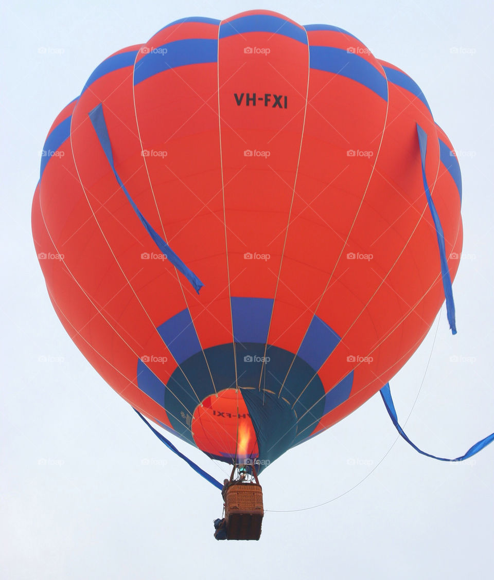 red flying flight basket by kshapley