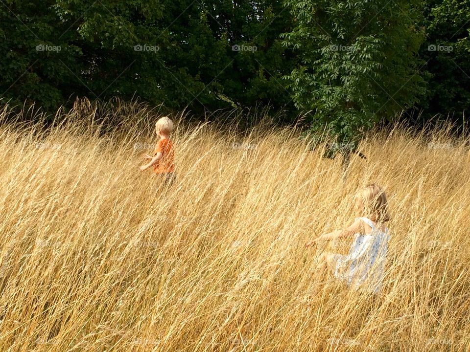 Summer at the Meads, Chertsey,. Running through the long summer grass at the Meads, Chertsey, Surrey, England