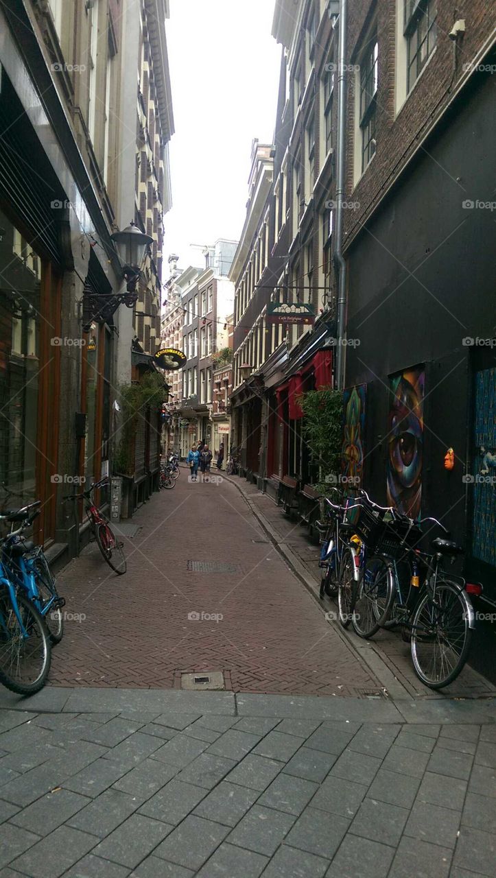 Wandering the Streets of Amsterdam