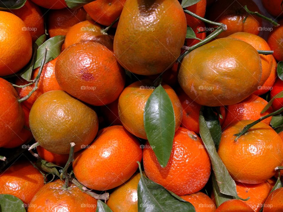 Full frame of oranges