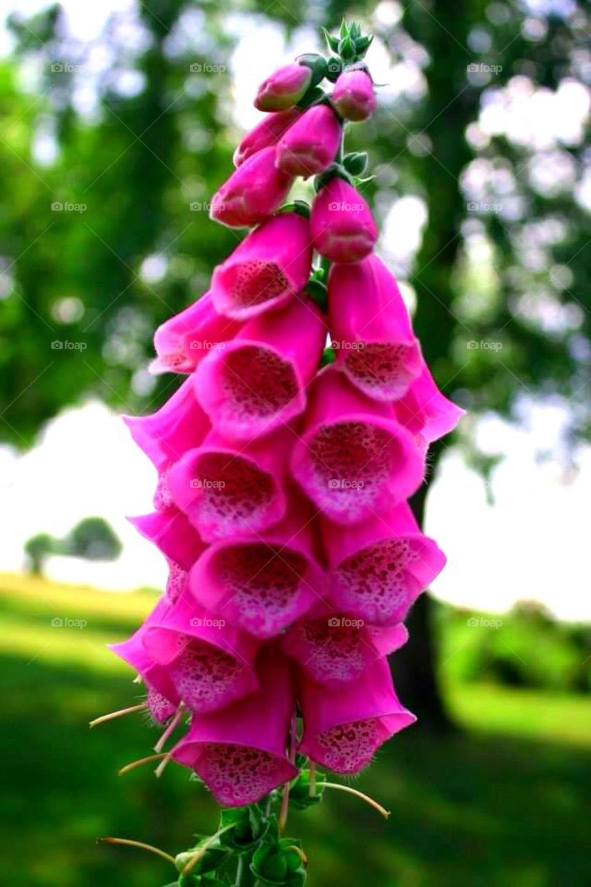 Taken by Phil, edited by me.