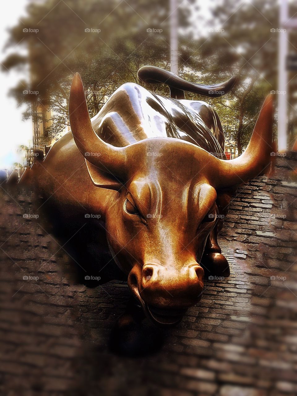 Charging Bull - Financial District, Manhattan, New York City 