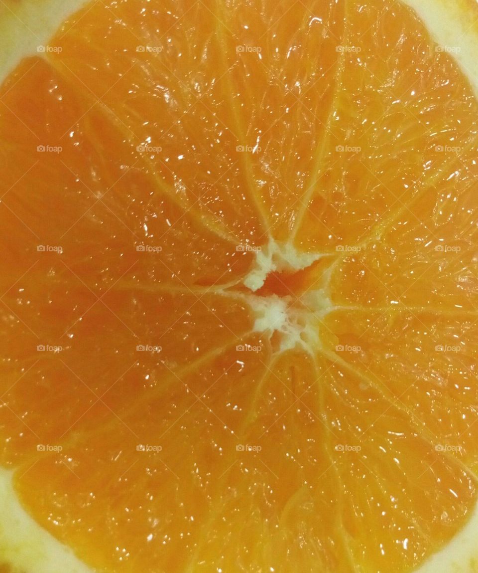 Juicy orange close up shot