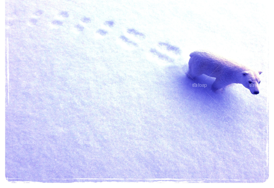 snow winter toy polar bear by christomck