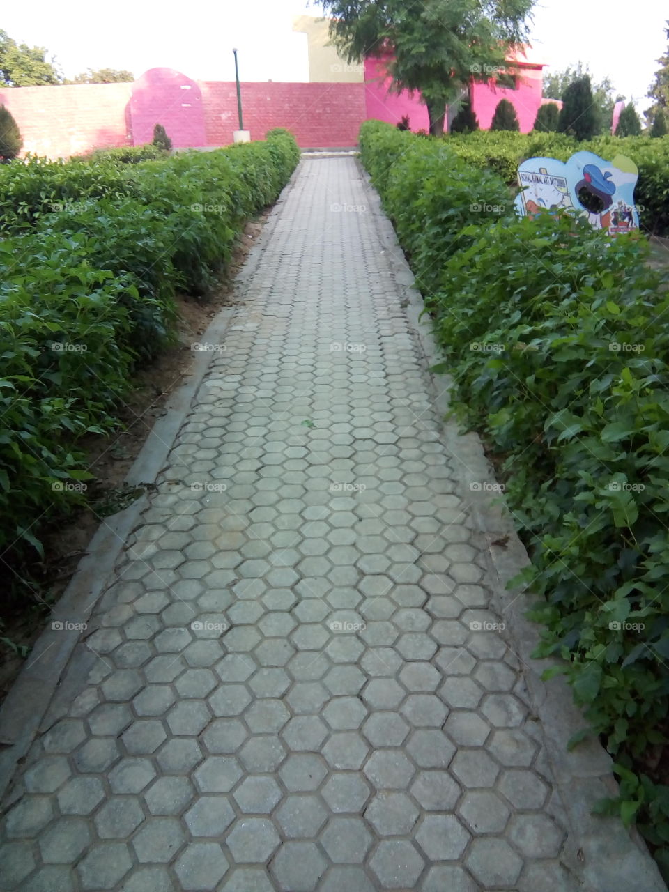A beautiful sight of Rose Garden at Bathinda city.