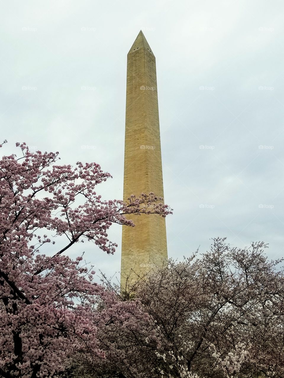 Washington Monument