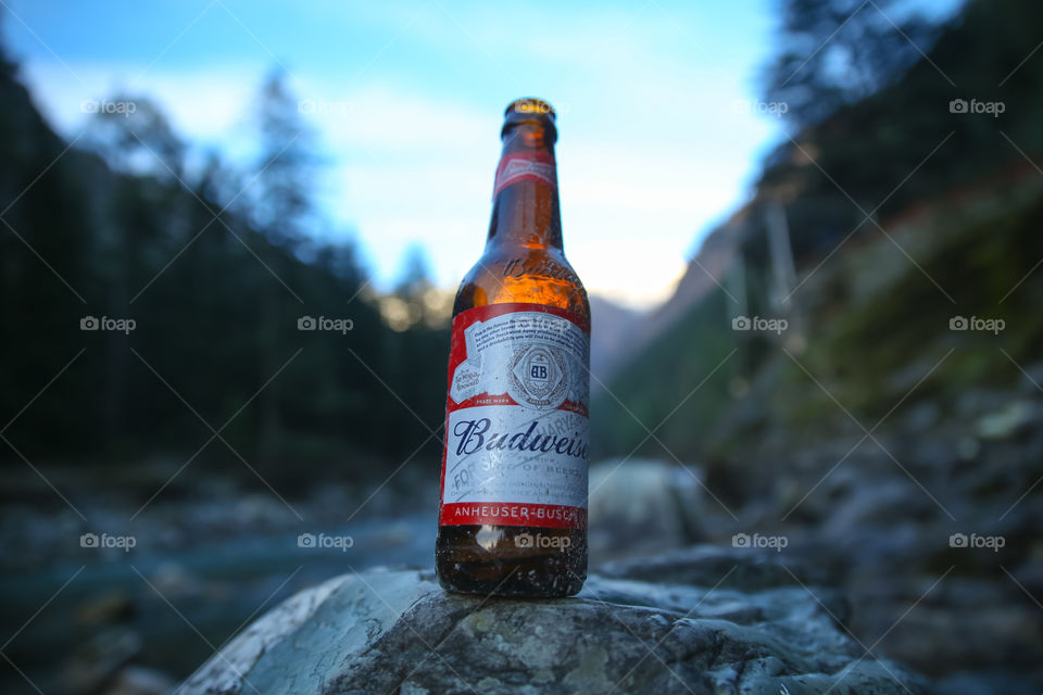 Budweiser beer bottle