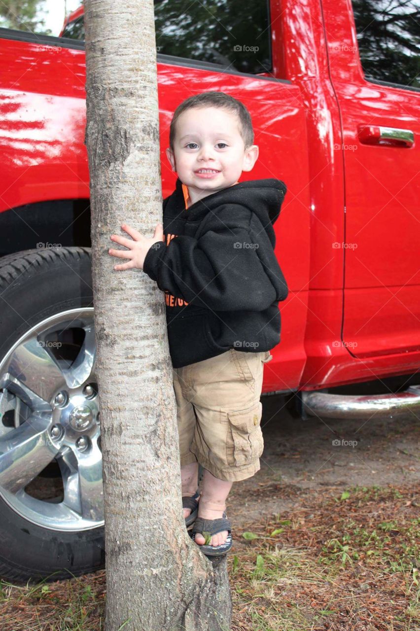 tree hugger