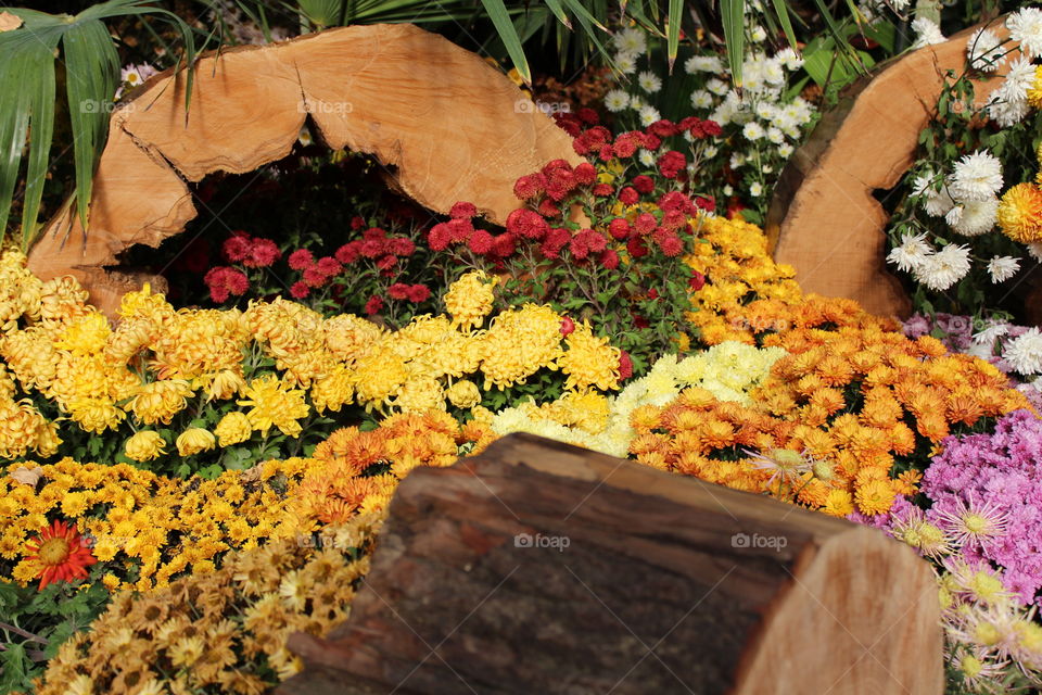 flowers and wood logs decorations