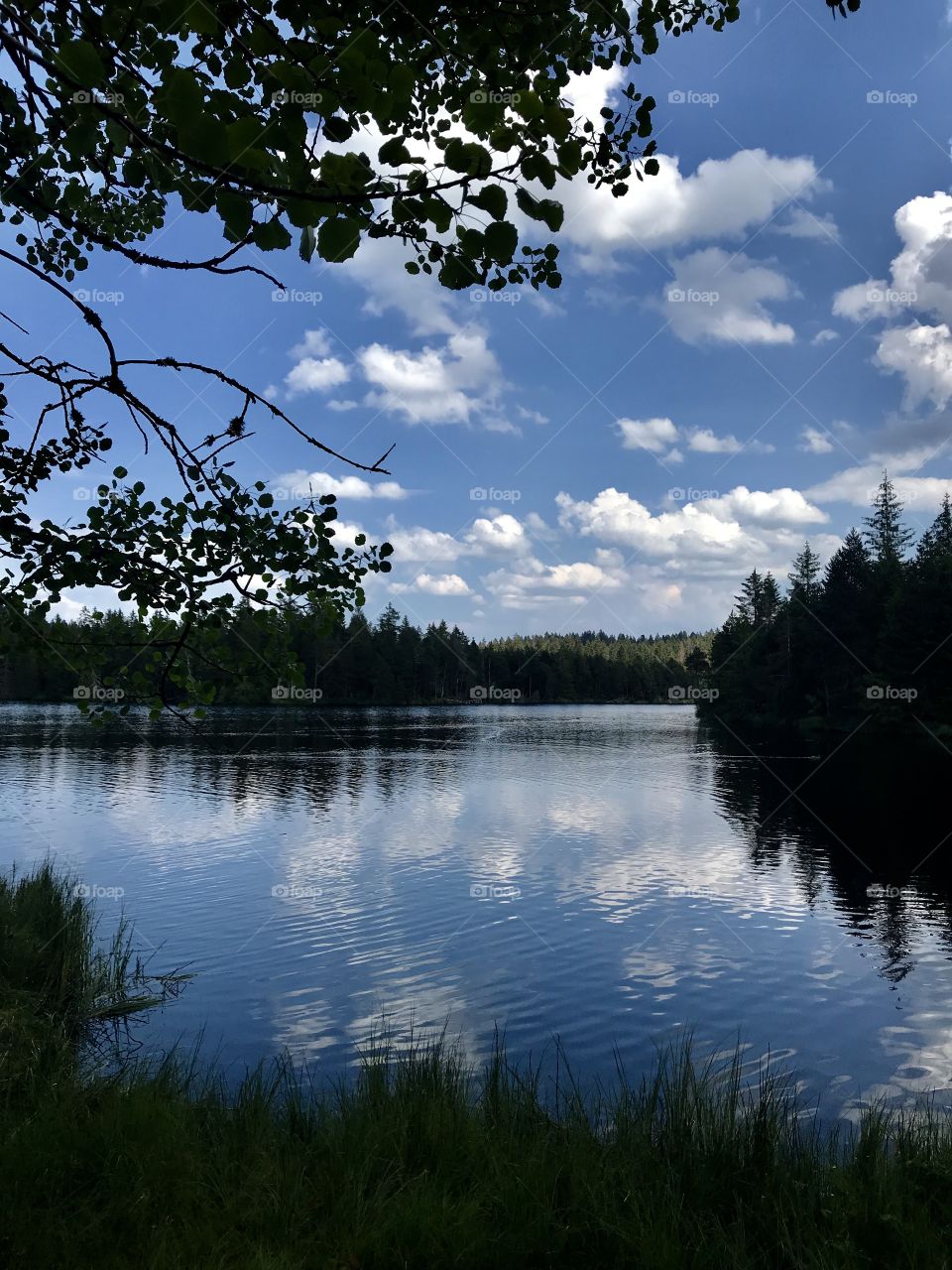 Suisse etang de gruère