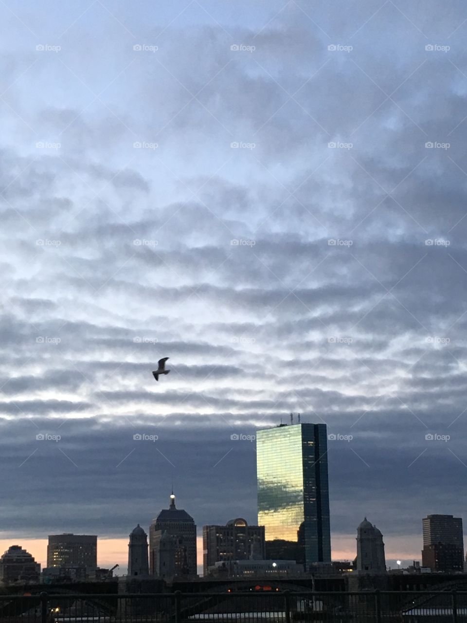Good Morning Boston!