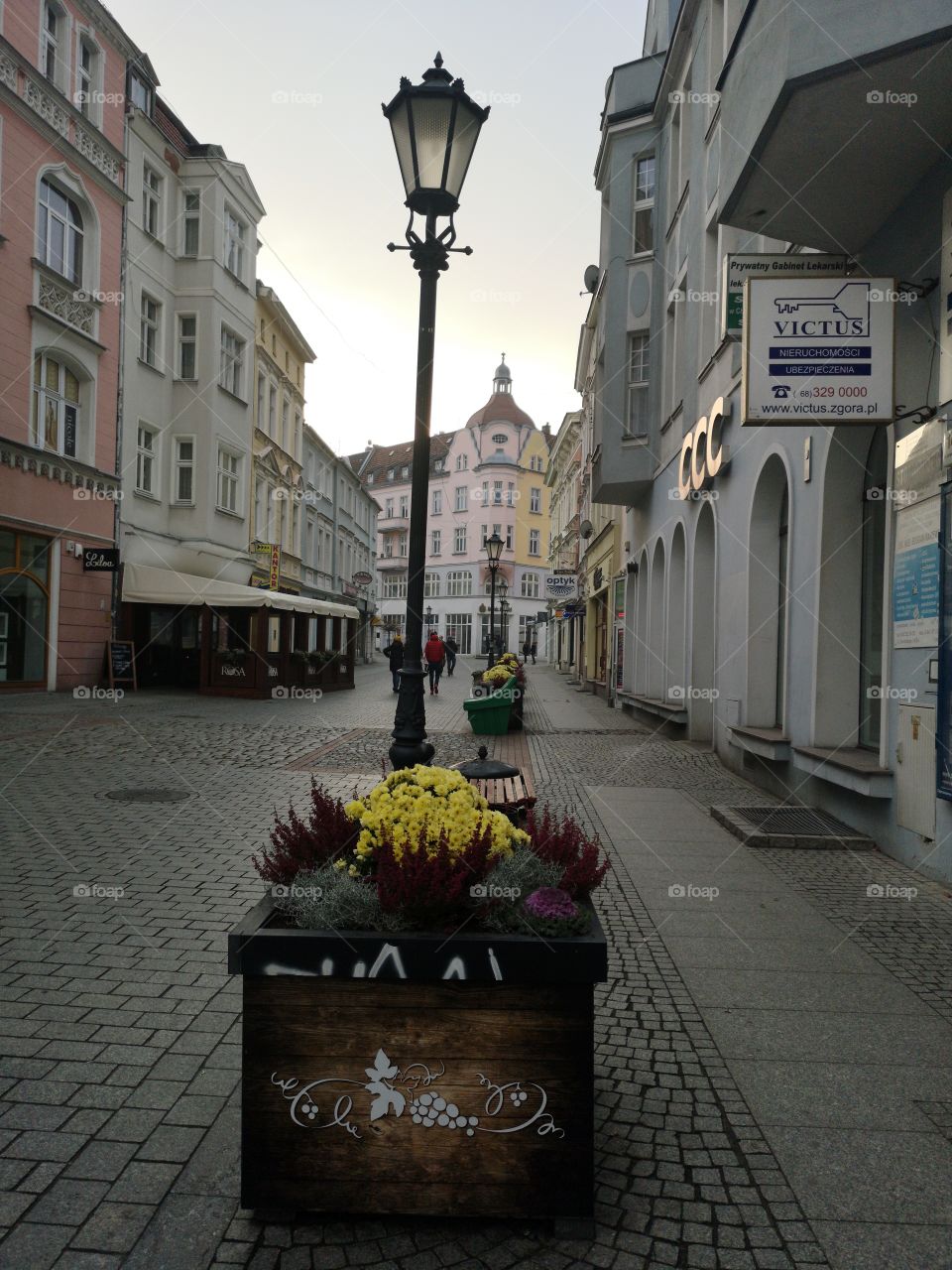 Streets of Zielona Góra. Poland