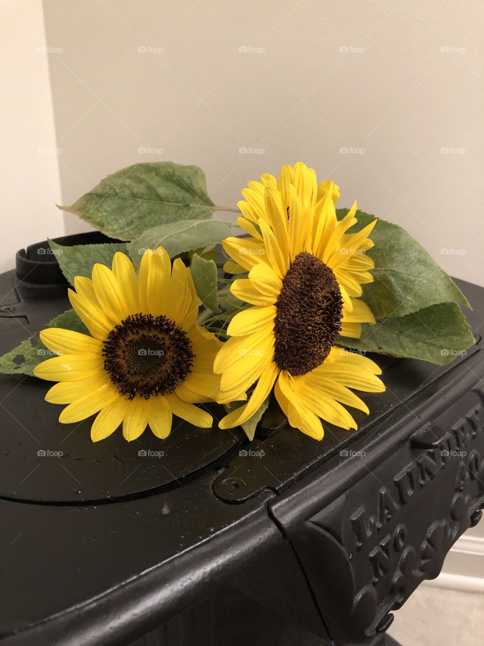 Cast iron stove and sunflowers 