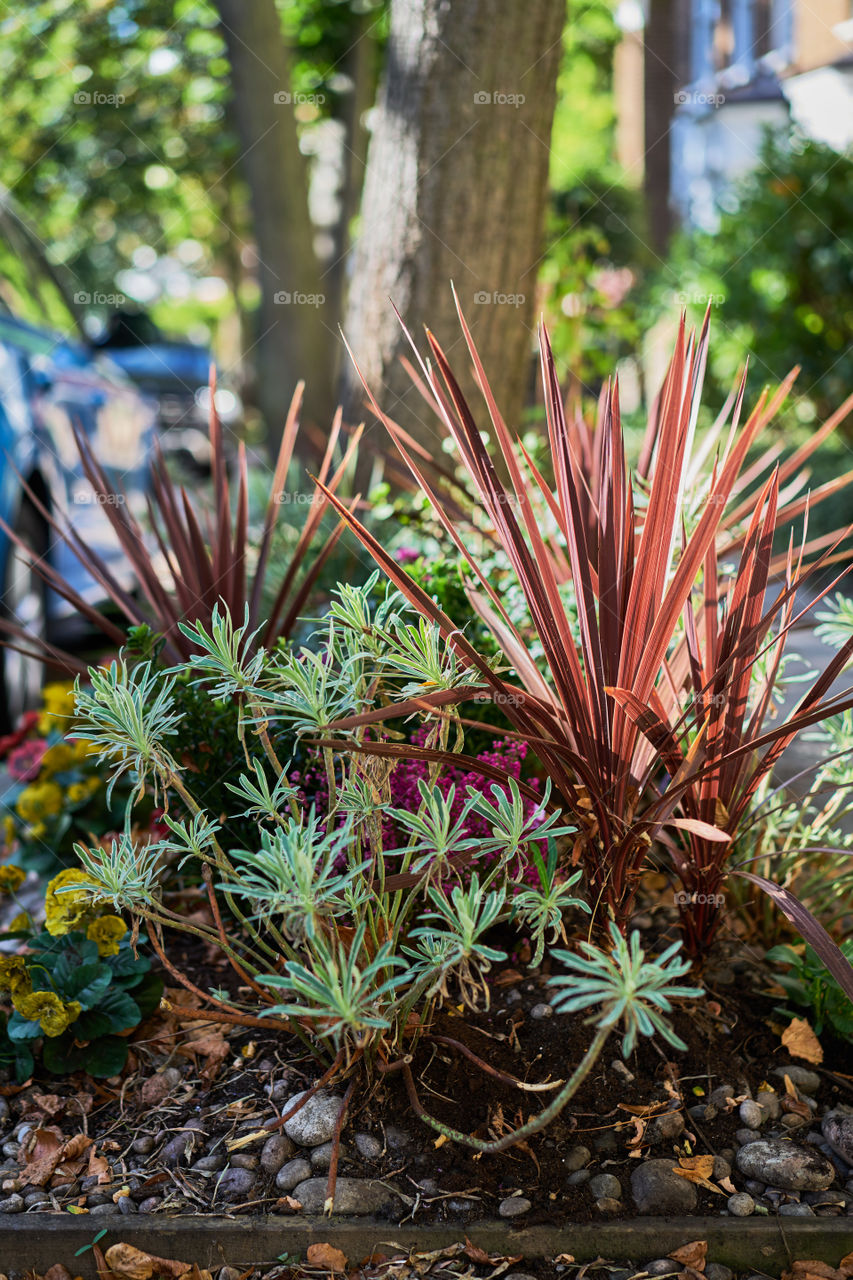 Autumn Street Gardening in London